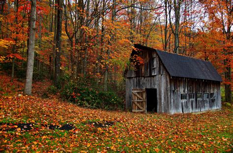 Country barn - 
